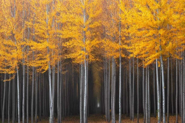 ТОП-10 неймовірно гарних осінніх пейзажів — фото 2