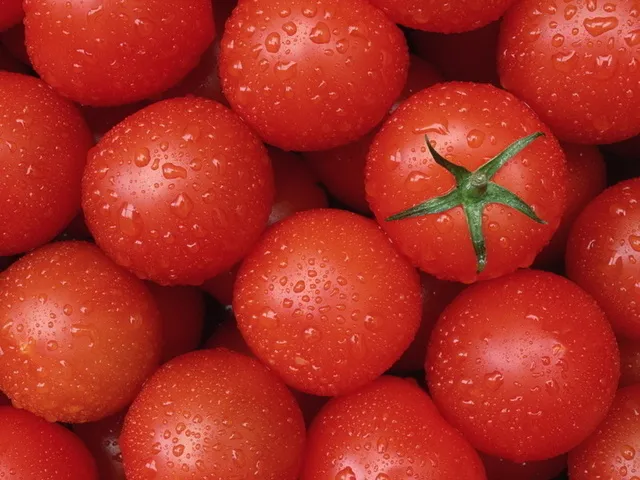 ТОП-3 продукти, вживання яких збереже молодість та красу — фото 3