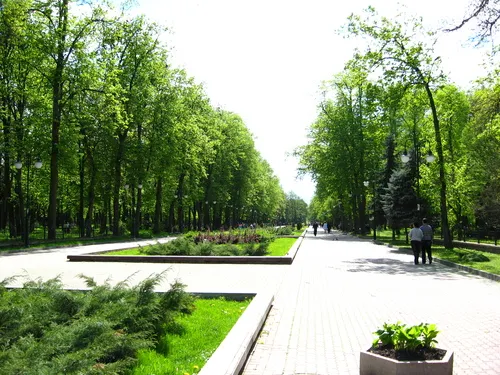 Парк культури та відпочинку ім. Т.Шевченка — фото 4