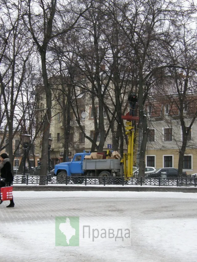 Дерева у франківському середмісті позбулися ілюмінації (Фоторепортаж) — фото 5