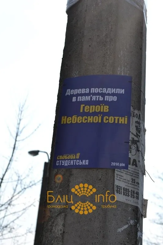 Сьогодні в Івано-Франківську близько 20 активістів висадили дерева пам’ять про Героїв Небесної Сотні (Фоторепортаж) — фото 5