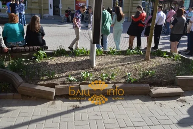 В Івано-Франківську вже другий тиждень навколо клумби «розгромлений» бордюр (Фото) — фото 3