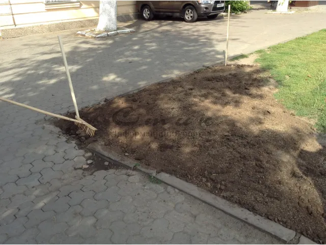 Юрій Романюк вирішив реабілітуватися після того, як його спіймали на неправильному паркуванні (Фото) — фото 3