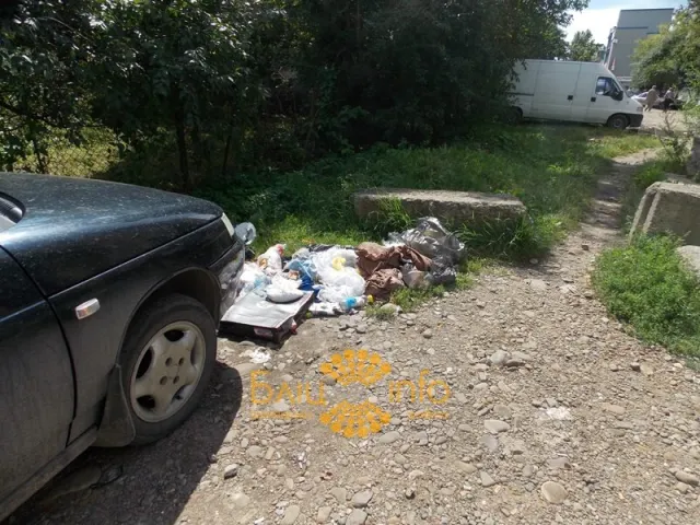 Чи то комунальники «забули» вивезти, чи то франківчани так швидко смітять (Фото) — фото 1