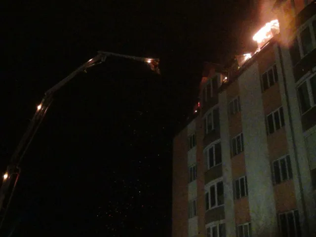 Маштабна пожежа на Прикарпатті. Гасили 76 рятувальників на 15-ох машинах (Фото) + (Відео) — фото 1