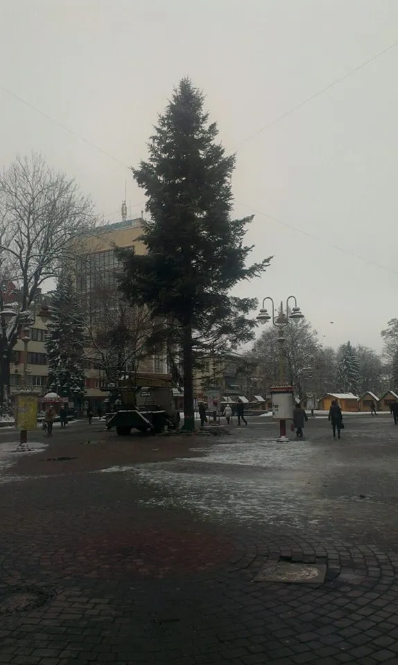 На Вічевому майдані встановили 22-метрову ялинку (Фото) — фото 3