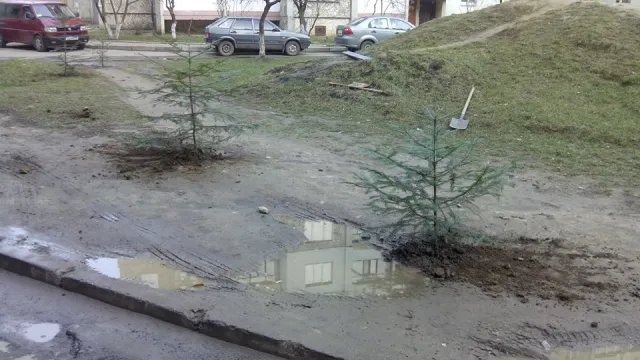 В Івано-Франківську знайшли новий спосіб боротьби з авторагулями (фото) — фото 2