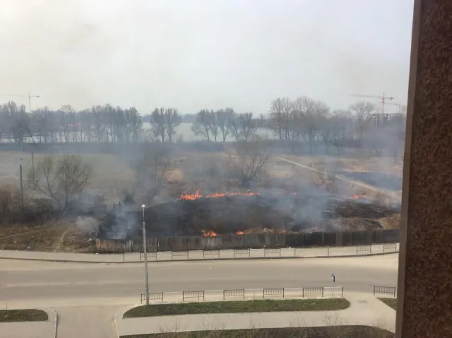 У Івано-Франківську навколо озера горіла територія, яку планують забудувати (фото) — фото 3