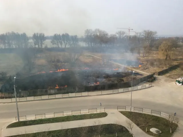 У Івано-Франківську навколо озера горіла територія, яку планують забудувати (фото) — фото 4