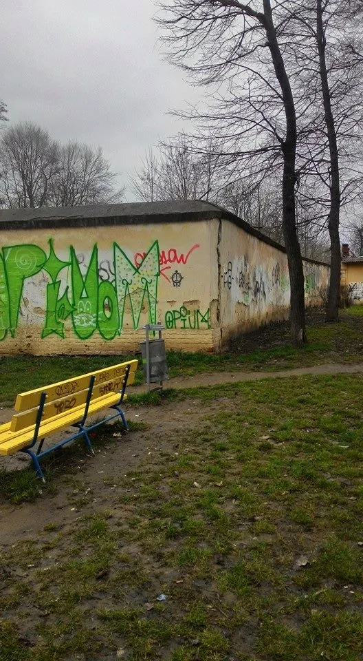Стіна палацу Потоцьких може обвалитися на дитячий майданчик (фото) — фото 2
