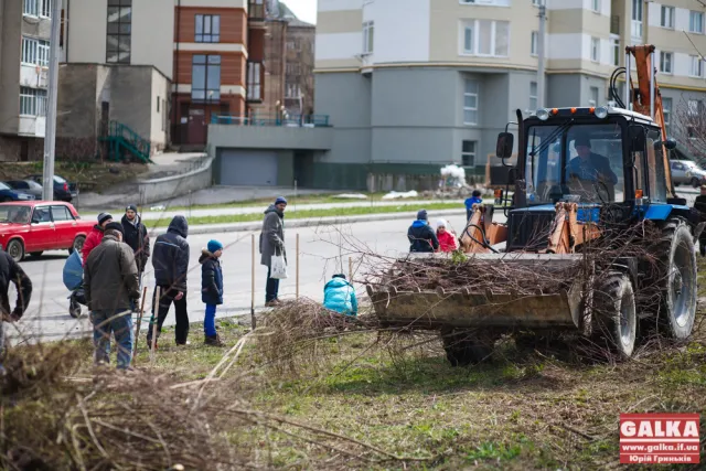 У Франківську громадські активісти вирубали хащі по вул. Гурика (фото) — фото 1