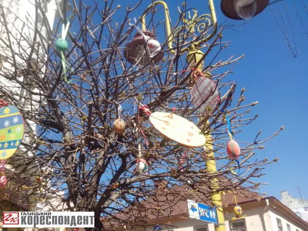 У центрі міста зацвіли писанкові дерева (фото) — фото 2