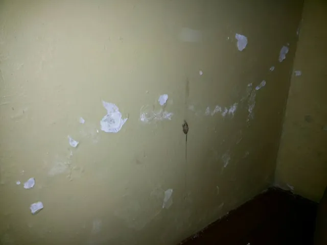 Батьки франківських школярів заявляють про нелюдські умови для навчання (фото) — фото 3