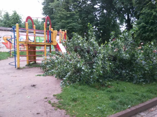 Сильний вітер повалив дерево просто на дитячий майданчик — фото 1