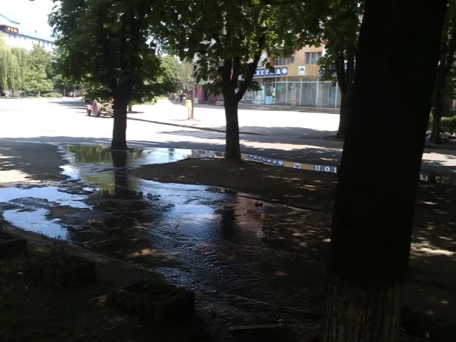 На одній з вулиць Франківська великий прорив води, який ніхто не поспішає ліквідовувати (фото+відео) — фото 2