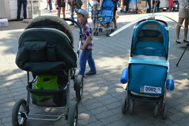 В Івано-Франківську пройшов «Парад візочків» (фото) — фото 16