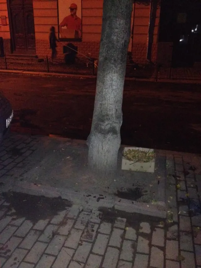 Благоустрій міста залежить від його мешканців. Франківець прибрав стихійний смітник на Шевченка (фото) — фото 1