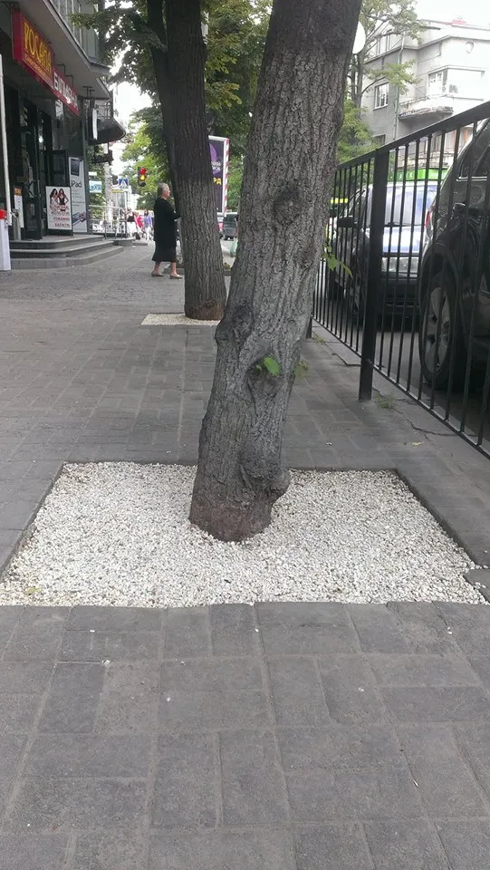 Франківці власноруч взялися облагороджувати місто (фото) — фото 5