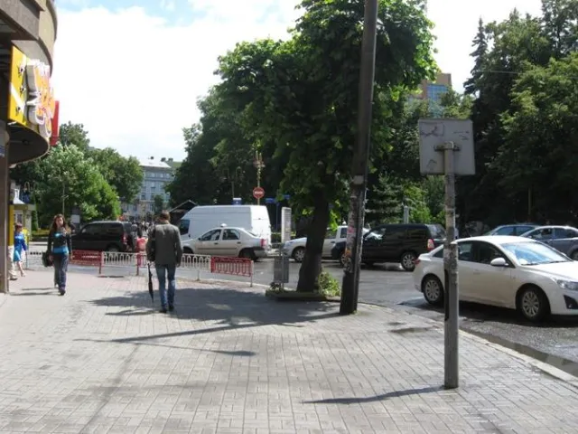 УДАР виправдовує Тараса Іщенка, запевняючи, що він не порушував правил дорожнього руху (фото) — фото 1