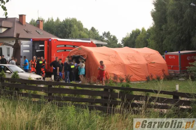 За кордоном сталося ще одне ДТП за участю прикарпатців (фото) — фото 6