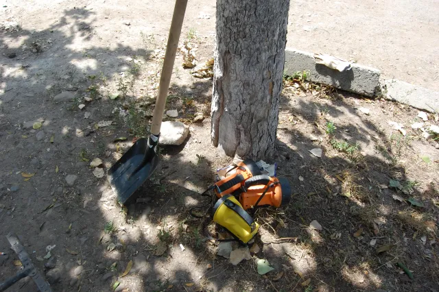 Людським кісткам, які знайшли у підвалі житлового будинку, може бути 3-4 роки (фото) — фото 1