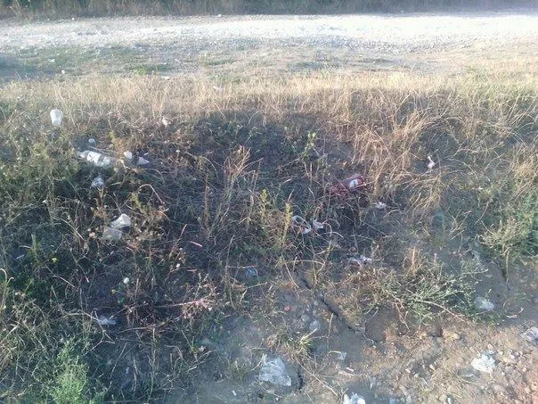 Іванофранківці активно відпочивають на Вовчинецьких горах (фото) — фото 7