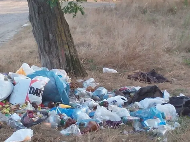 У Франківську біля озера розростається стихійне сміттєзвалище (фото) — фото 1