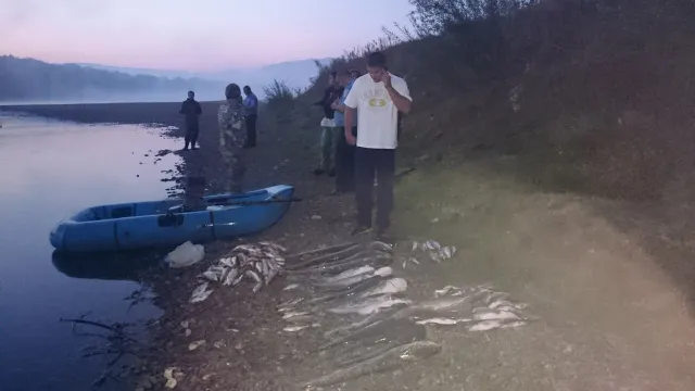В. о. керівника прикарпатської рибоохорони відмовився затримувати браконьєра-священика (фото+відео) — фото 4