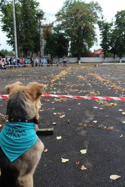 У Франківську відбувся “Кубок Сірка” (фото) — фото 16