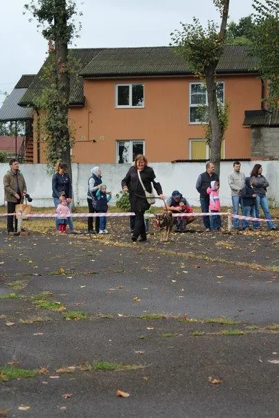 У Франківську відбувся “Кубок Сірка” (фото) — фото 6