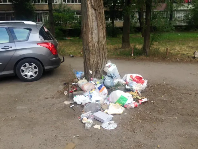По вулиці Тичини невідомий викидає сміття під дерево біля будинку, місцеві жителі влаштували полювання (фото) — фото 1