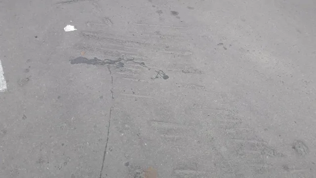Жителі міста скаржаться на безлад в парку на Валах (фото) — фото 5
