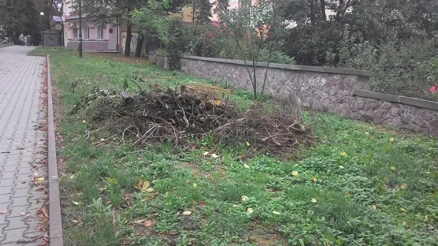 Жителі міста скаржаться на безлад в парку на Валах (фото) — фото 7