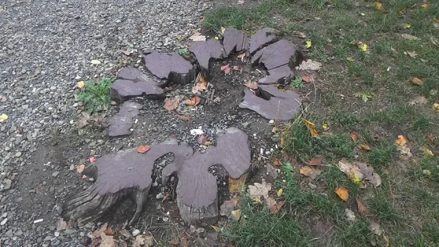 Жителі міста скаржаться на безлад в парку на Валах (фото) — фото 9