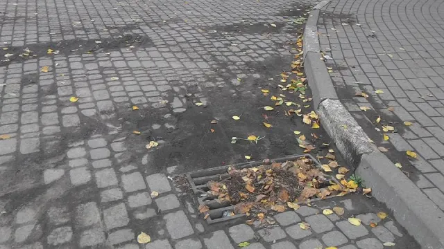 Жителі міста скаржаться на безлад в парку на Валах (фото) — фото 10