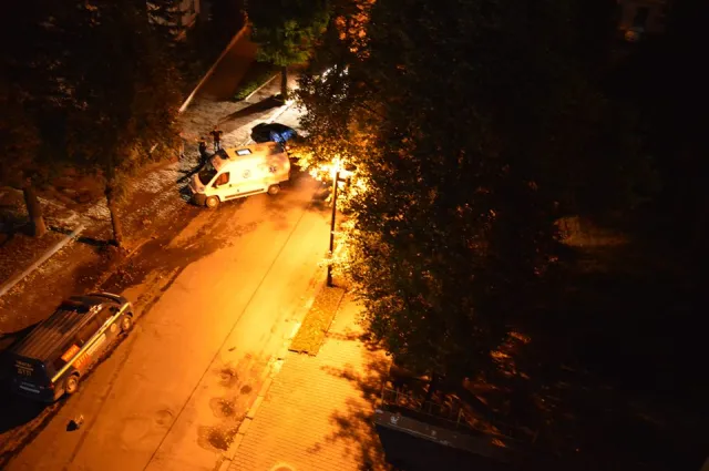 На Грюнвальдській «BMW» врізалось в дерево — фото 1