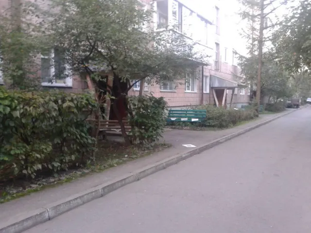 У під'їздах франківських будинків смітять передвиборчими газетами (фото) — фото 3