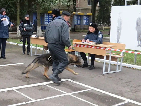 Прикарпатських правоохоронців навчали, як протидіяти порушенням під час виборів (фото) — фото 2