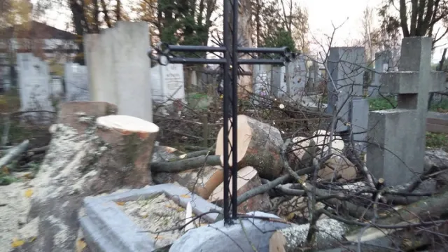 У Франківську на цвинтарі могили закидали деревами (фото) — фото 3