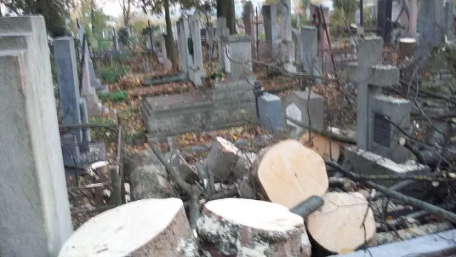У Франківську на цвинтарі могили закидали деревами (фото) — фото 4