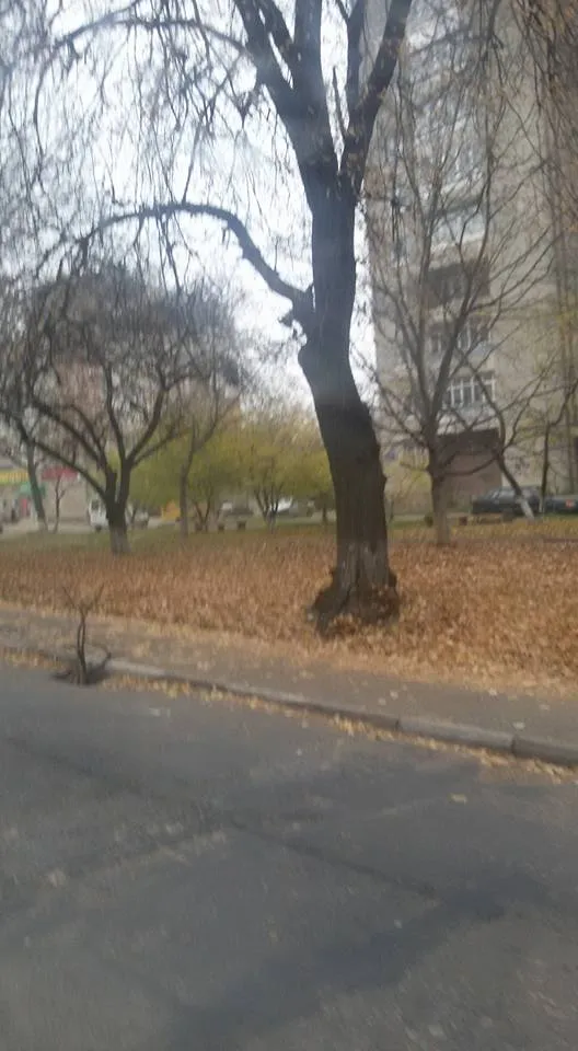 В місті продовжують викрадати решітки дощової каналізації (фото) — фото 2