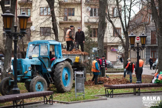 Як франківські комунальники боряться з опалим листям (фото) — фото 6