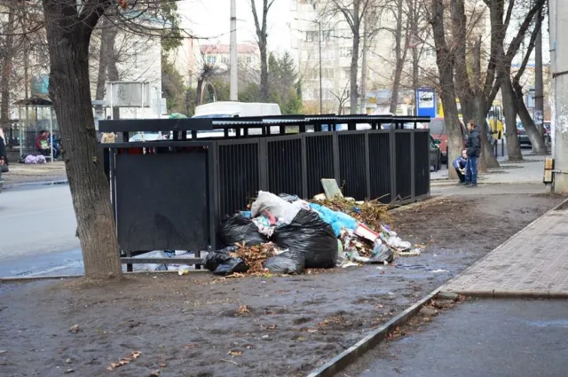 На що за місяць перетворився "європейський" смітник у Франківську (фото) — фото 1