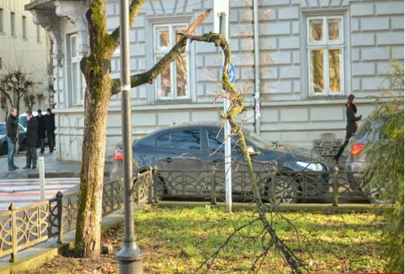 Буря завдала Франківську трохи лиха (фото) — фото 1