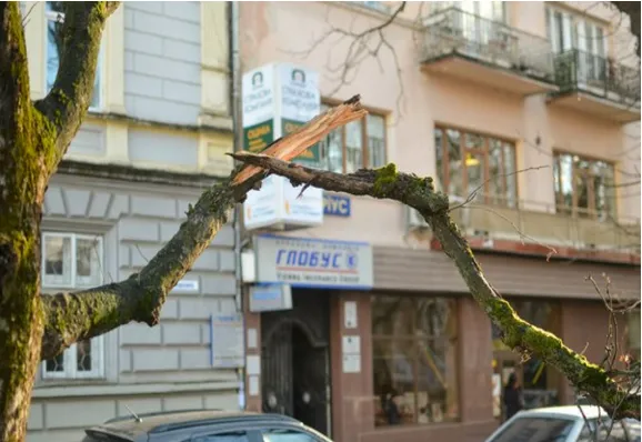 Буря завдала Франківську трохи лиха (фото) — фото 2