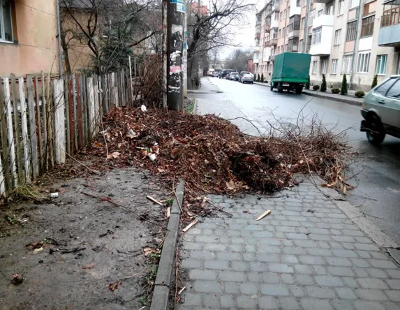 Найкраща вулиця Франківська перетворилась на сміттєзвалище (фото) — фото 1