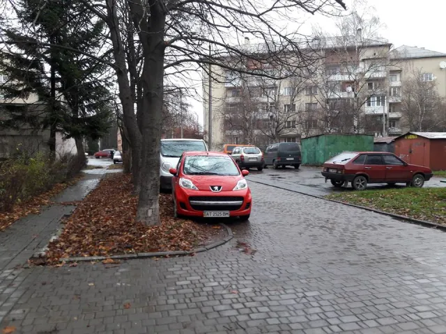 Мешканець міста використовує власний метод у боротьбі з авторагулями (фото) — фото 4