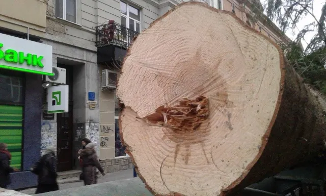 На Вічевому майдані почали встановлювати ялинку (фото) — фото 5