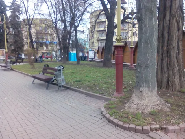 Комунальники забрали з Вічевого майдану незаконну боксерську грушу (фото) — фото 2