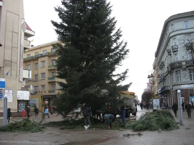 У Франківську комунальники демонтували новорічну ялинку (фото) — фото 1